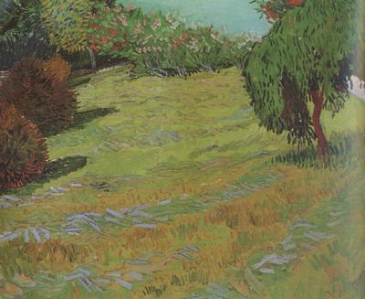 Vincent Van Gogh Sunny Lawn in a Public Pack (nn04) Germany oil painting art